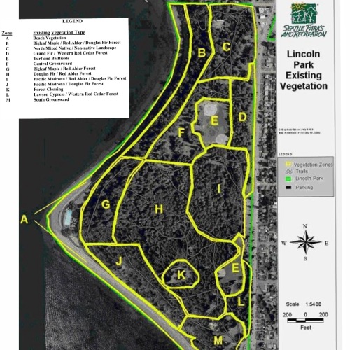Lincoln Park Forests: particularly H, B, G and J