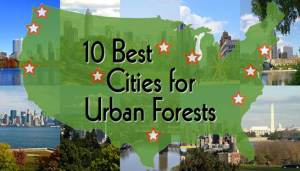 Seattle's urban forests make the cut!